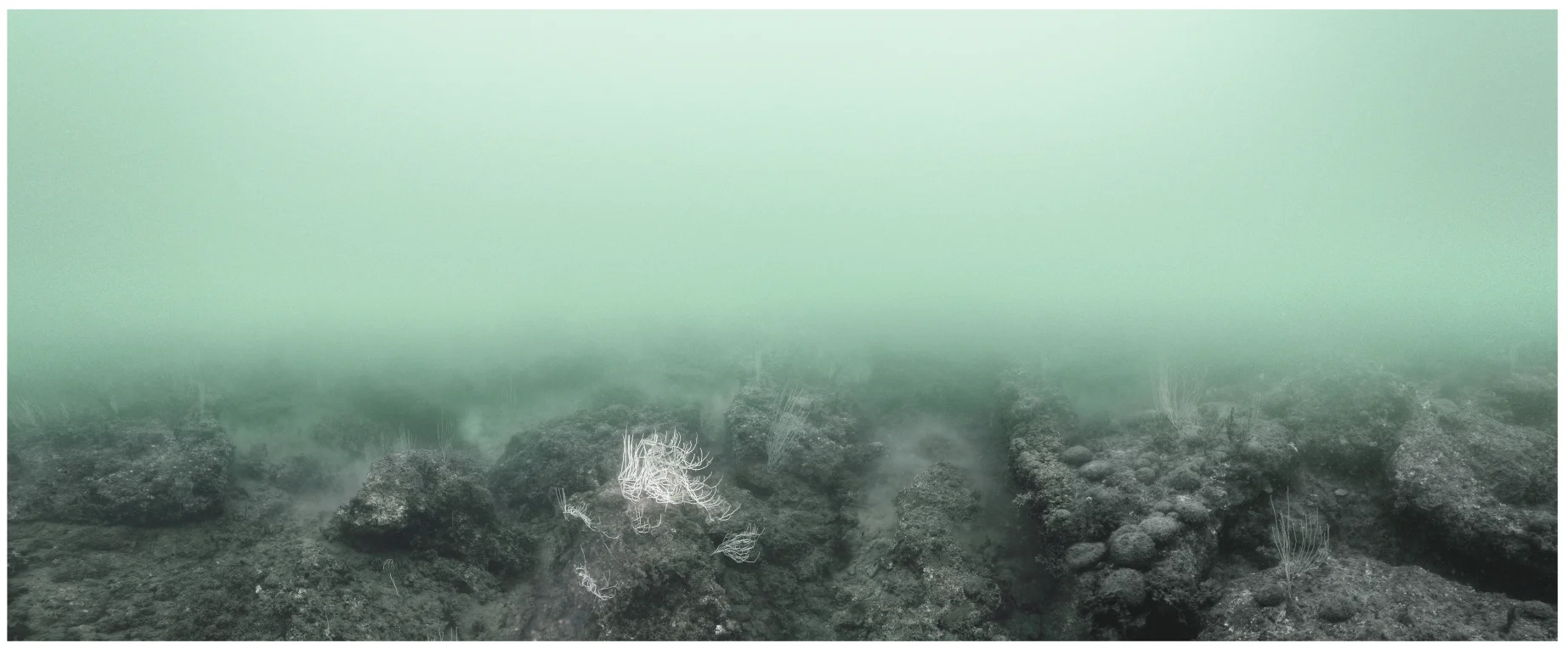 Un aprenentatge del tèrbol | © Jonàs Forchini