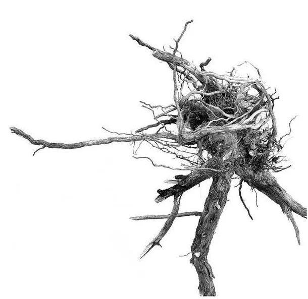 Retorn a la terra | © Francesc Ventura