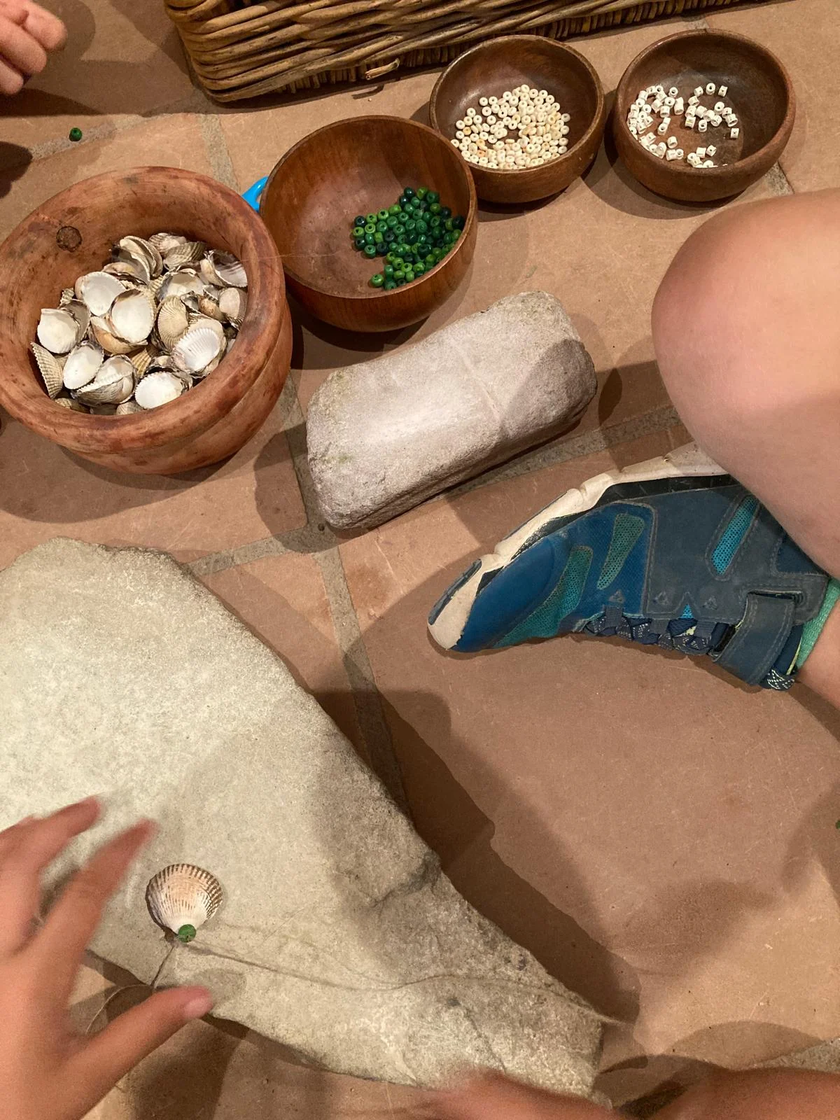 Toca la prehistòria