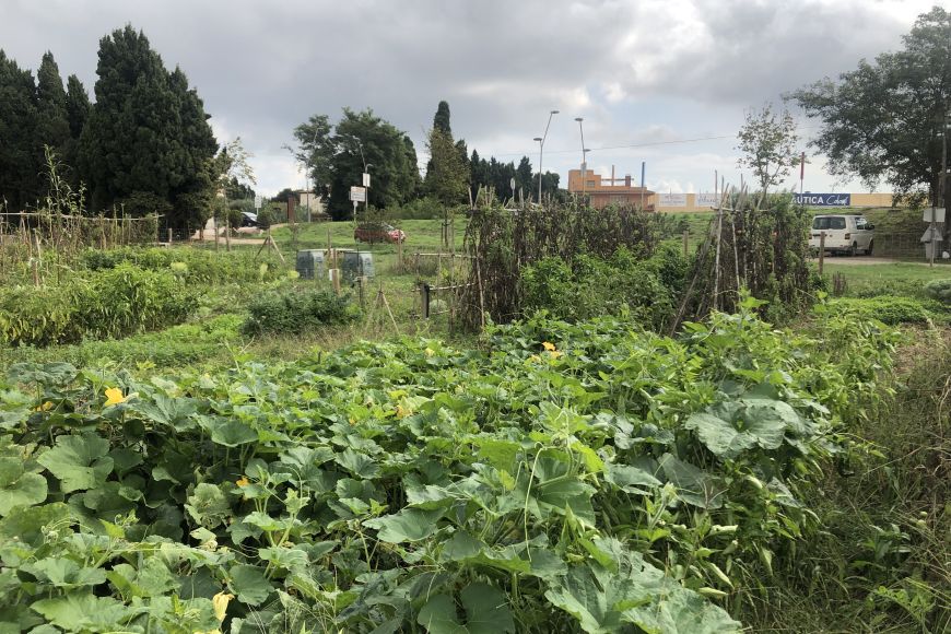 Imatge dels Horts Urbans del Tamariuà | © Ajuntament de Torroella de Montgrí