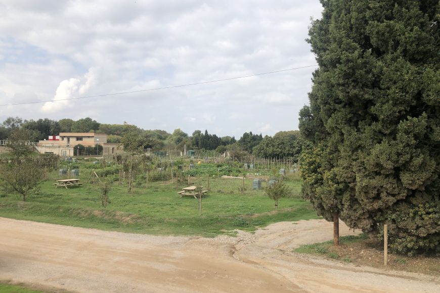 Imatge dels Horts Urbans del Tamariuà | © Ajuntament de Torroella de Montgrí Imatge dels Horts Urbans del Tamariuà | © Ajuntament de Torroella de Montgrí
