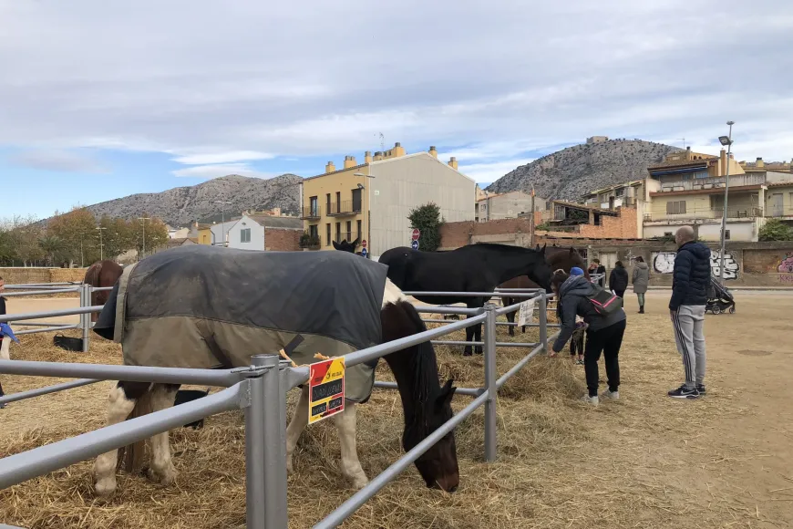 Zona eqüestre i d'animals de granja de la Fira Sant Andreu | © Ajuntament de Torroella de Montgrí Zona eqüestre i d'animals de granja de la Fira Sant Andreu | © Ajuntament de Torroella de Montgrí