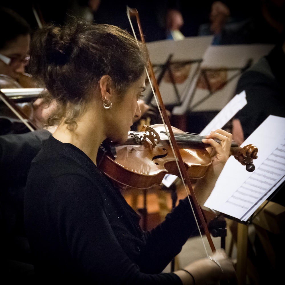 Concert d'Any Nou. Valsos i polques. Orquestra Terres de Marca