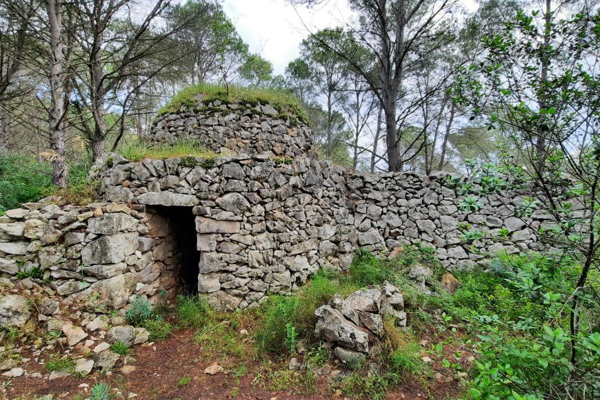 Barraca d'en Xeu Barraca d'en Xeu