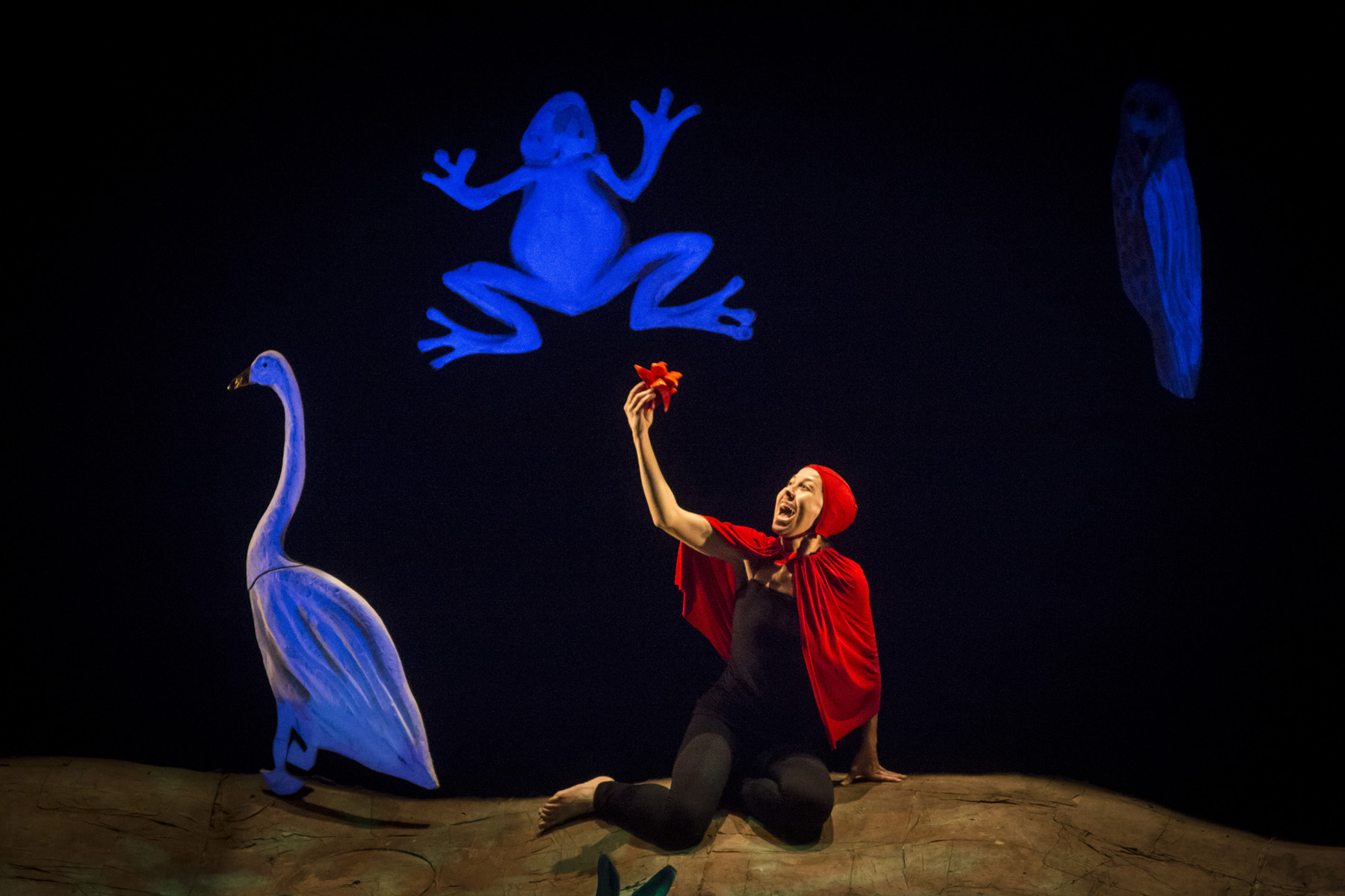 El bosc de Grimm. | © Martí Artalejo / Festival de Torroella