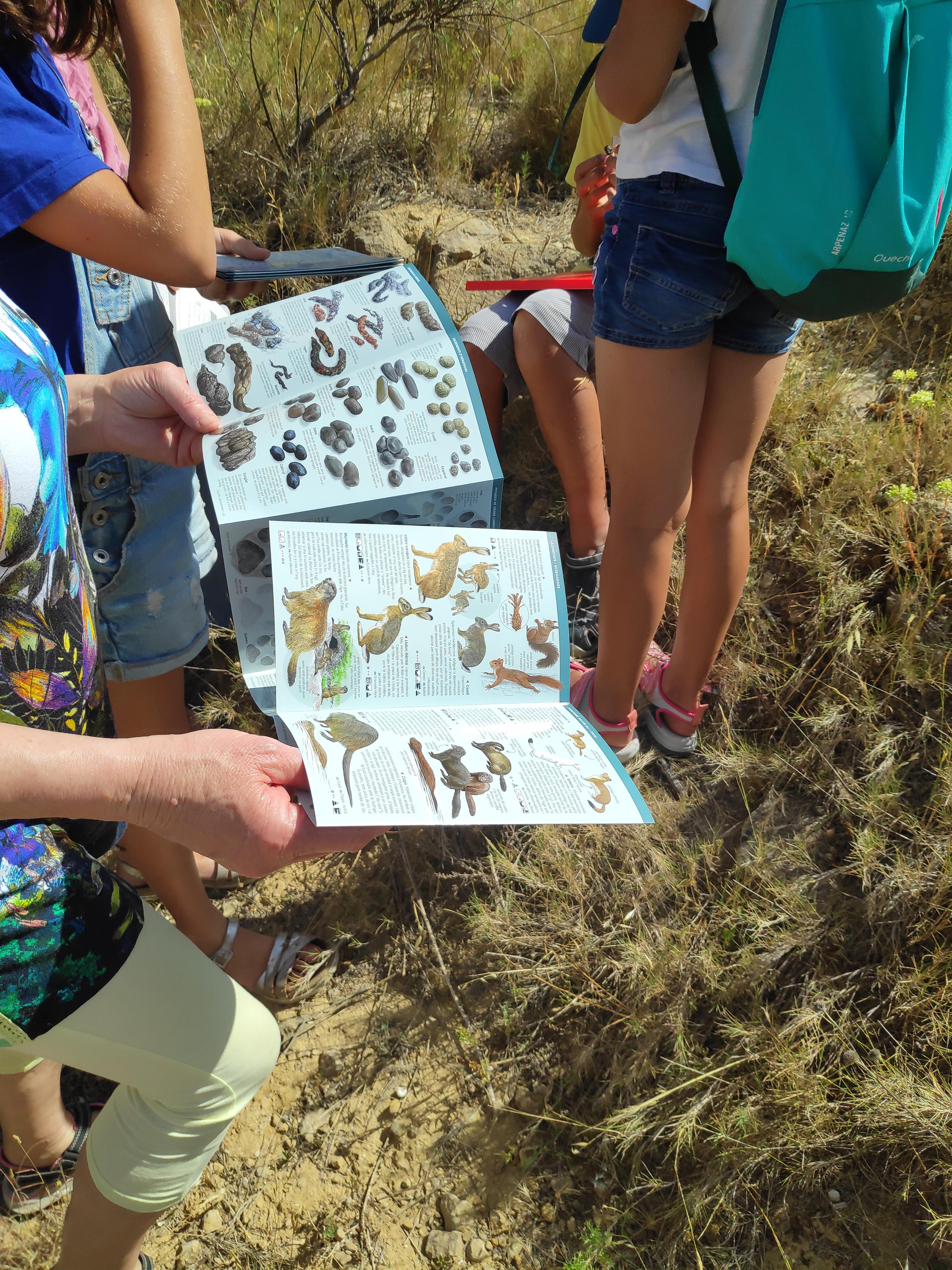 Seguim  el rastre! | © Úrsula Olmos. Museu de la Mediterrània