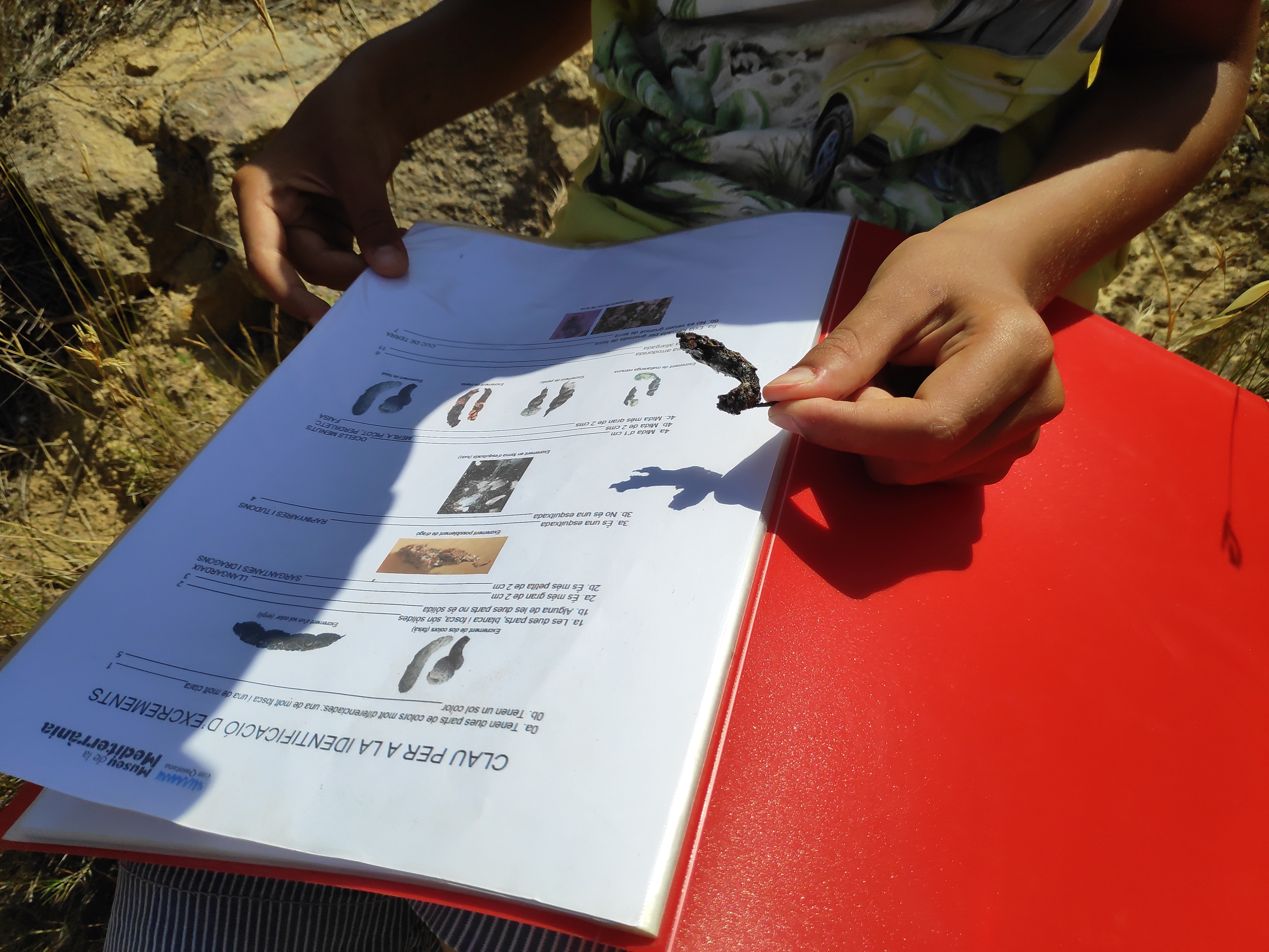 Seguim  el rastre! | © Úrsula Olmos. Museu de la Mediterrània