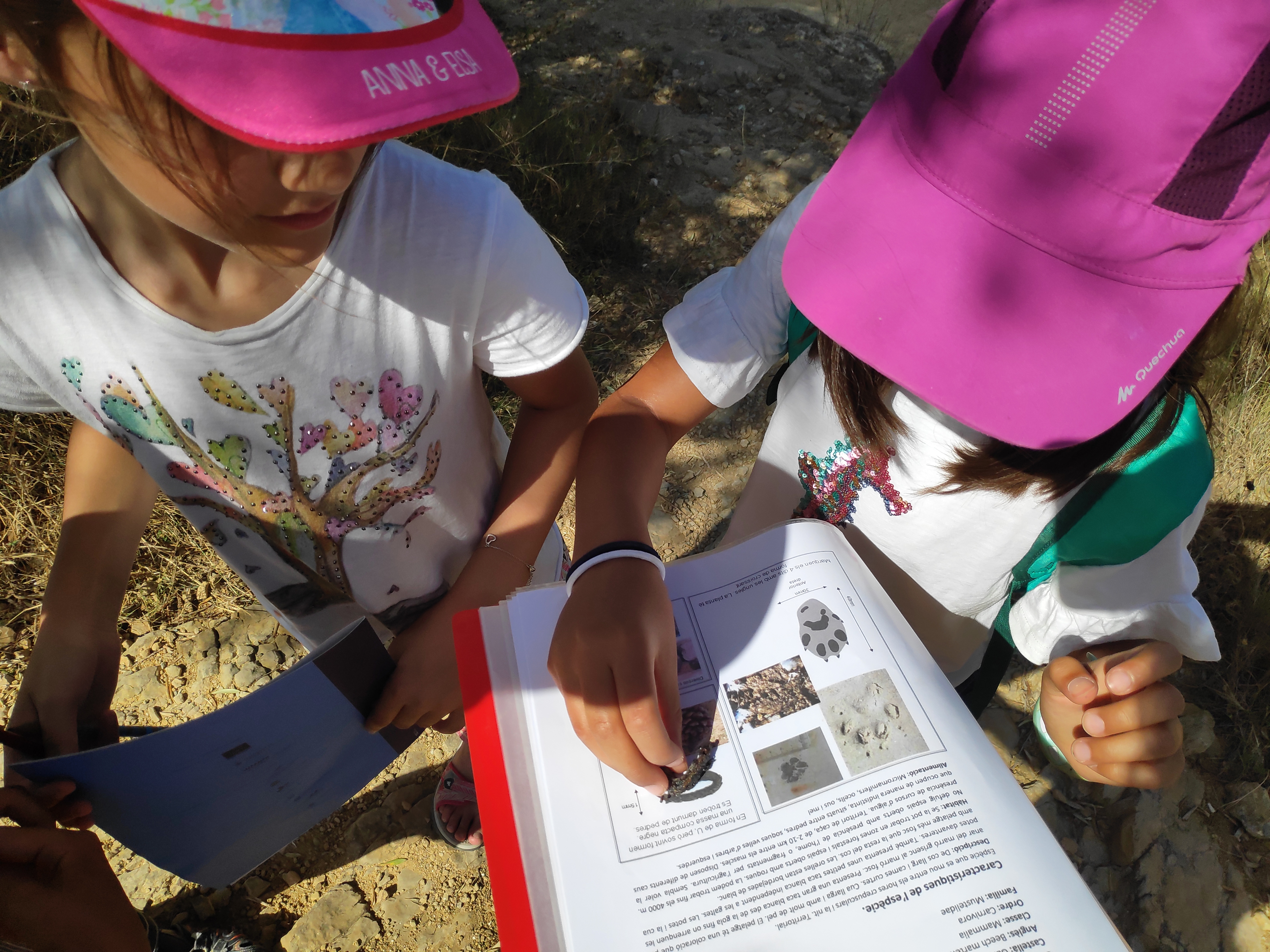 Seguim  el rastre! | © Úrsula Olmos. Museu de la Mediterrània