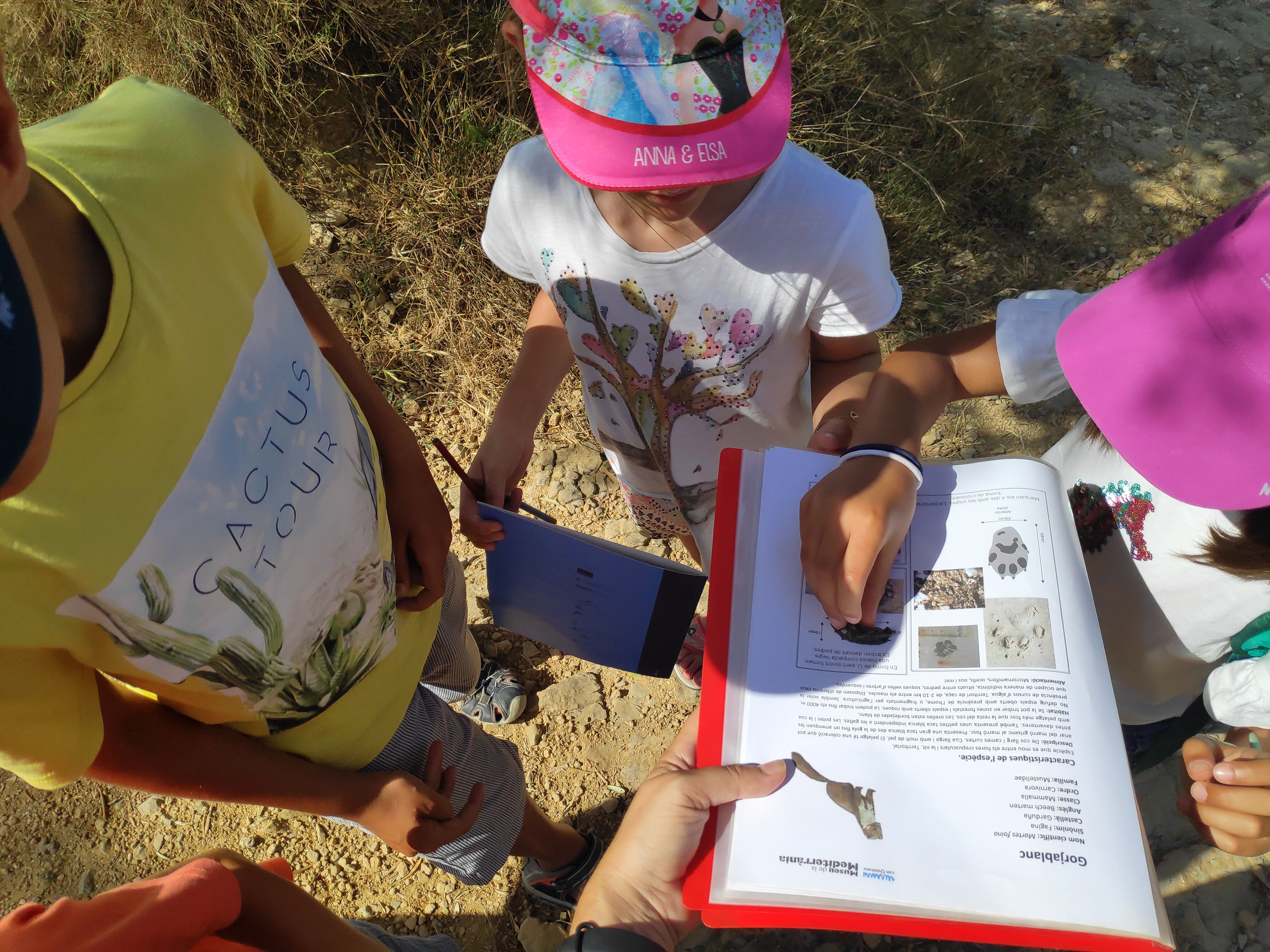 Seguim  el rastre! | © Úrsula Olmos. Museu de la Mediterrània