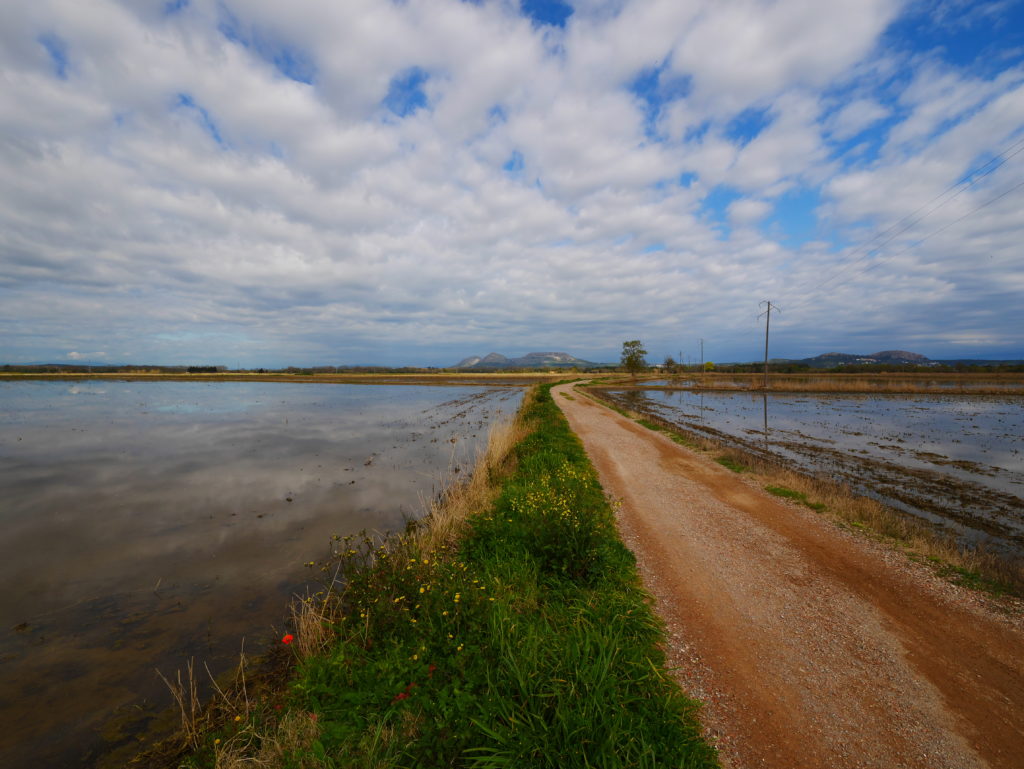 Les Basses d'en Coll | © Gisfera