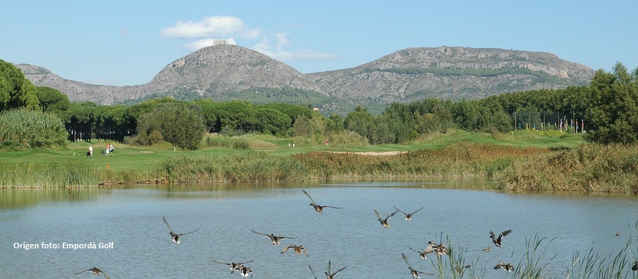 Els ocells del Daró i entorn de Gualta | © Ajuntament de Gualta