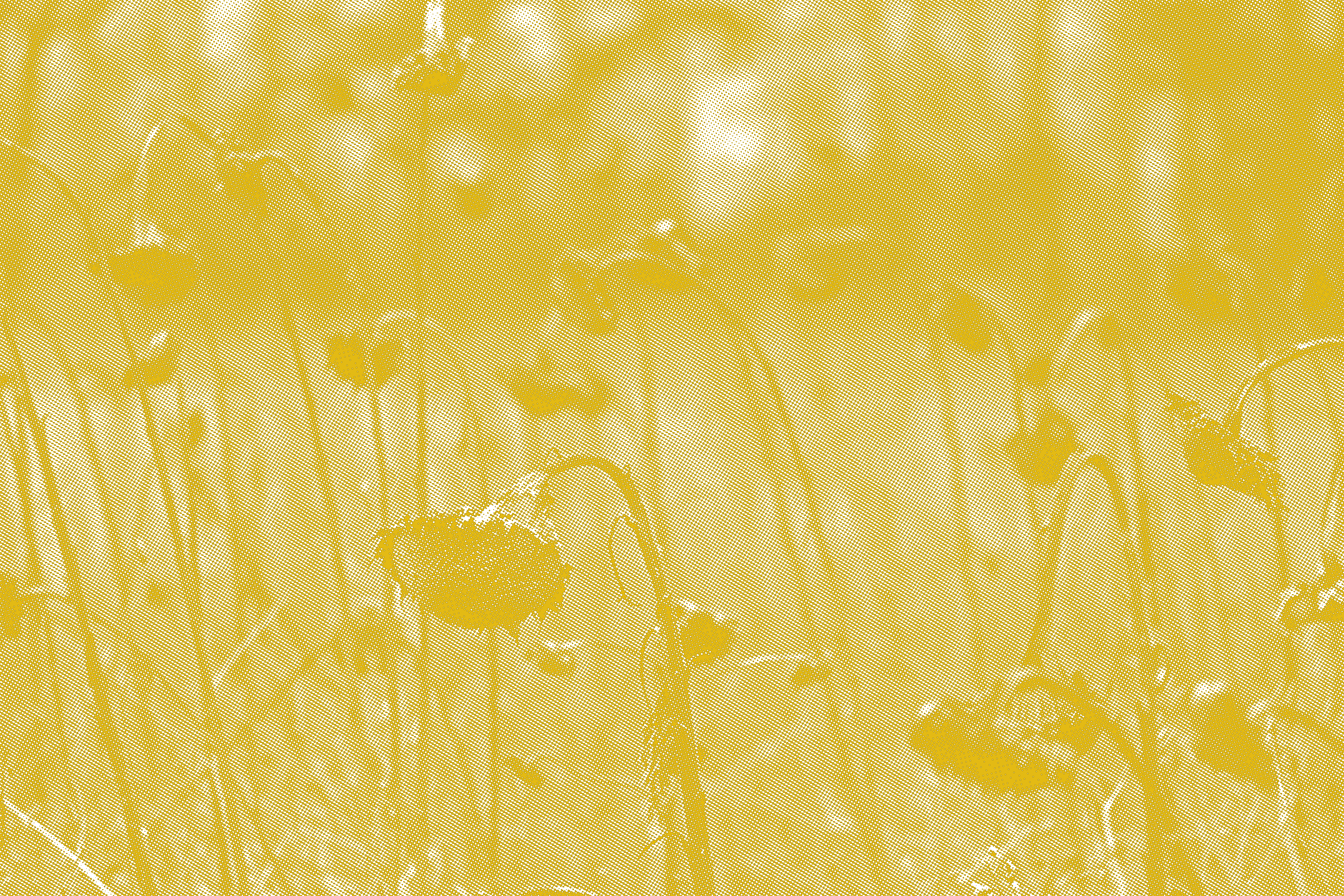 Un cotxe al costat d’un camp de gira-sols