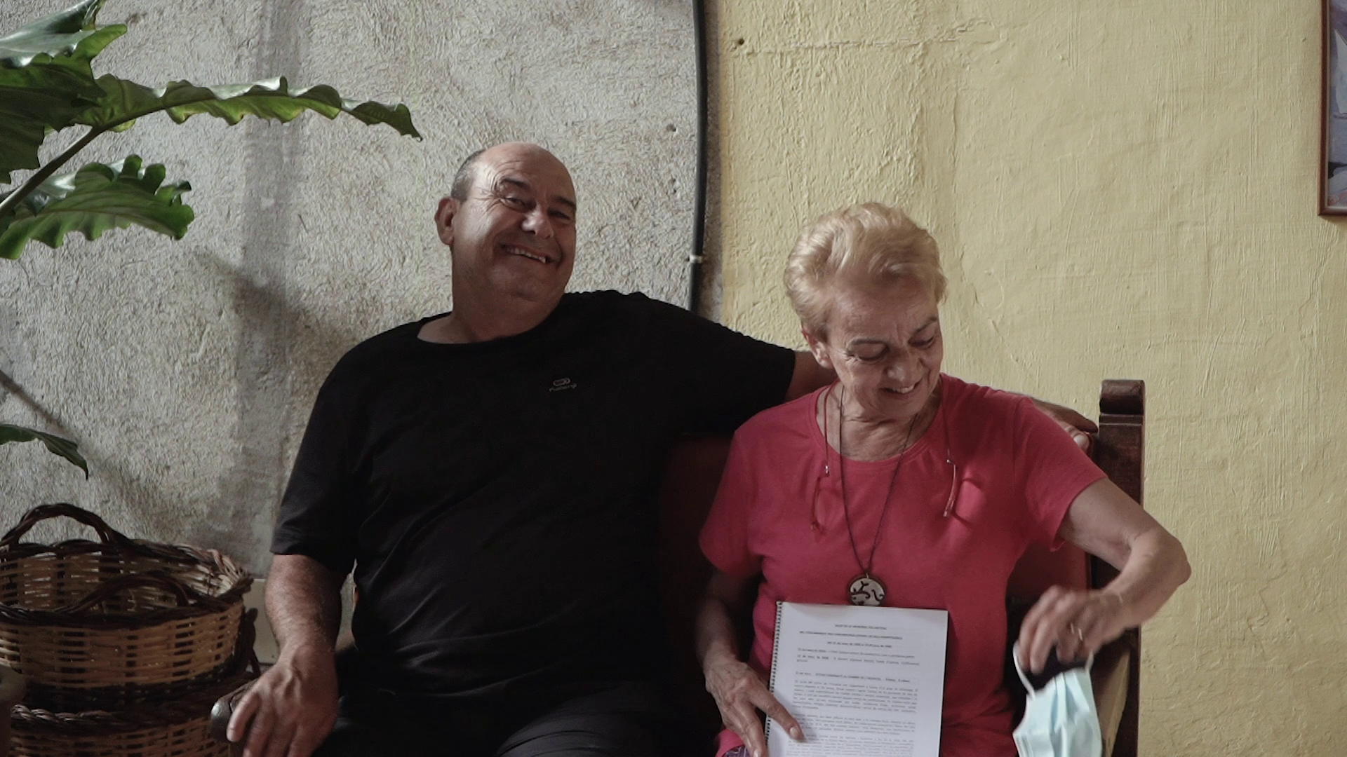 memòries d'una pandèmia