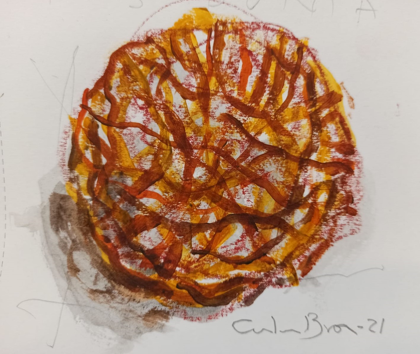 Posidònia de Carles Bros