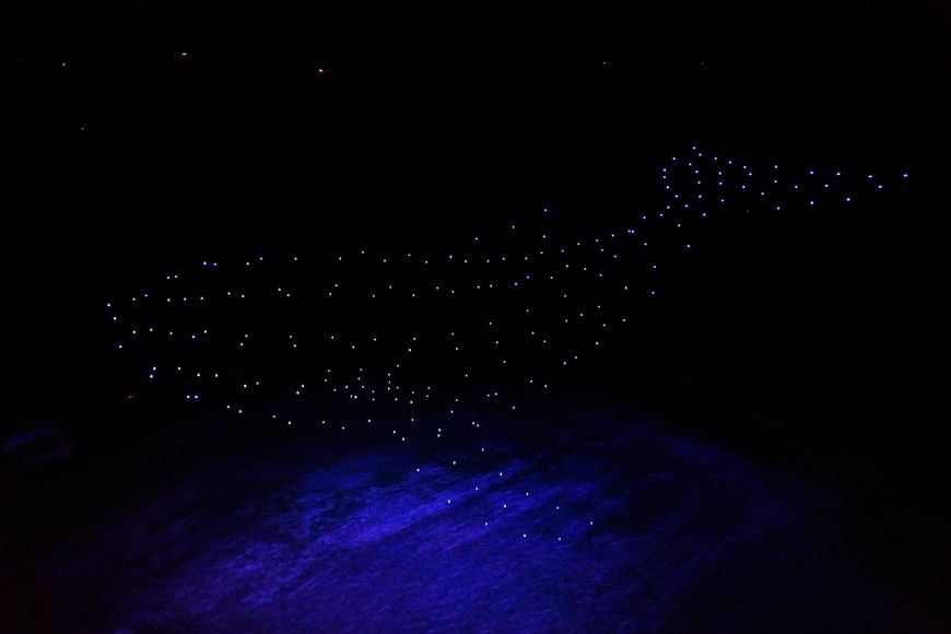 Flock Drone Art Flock Drone Art