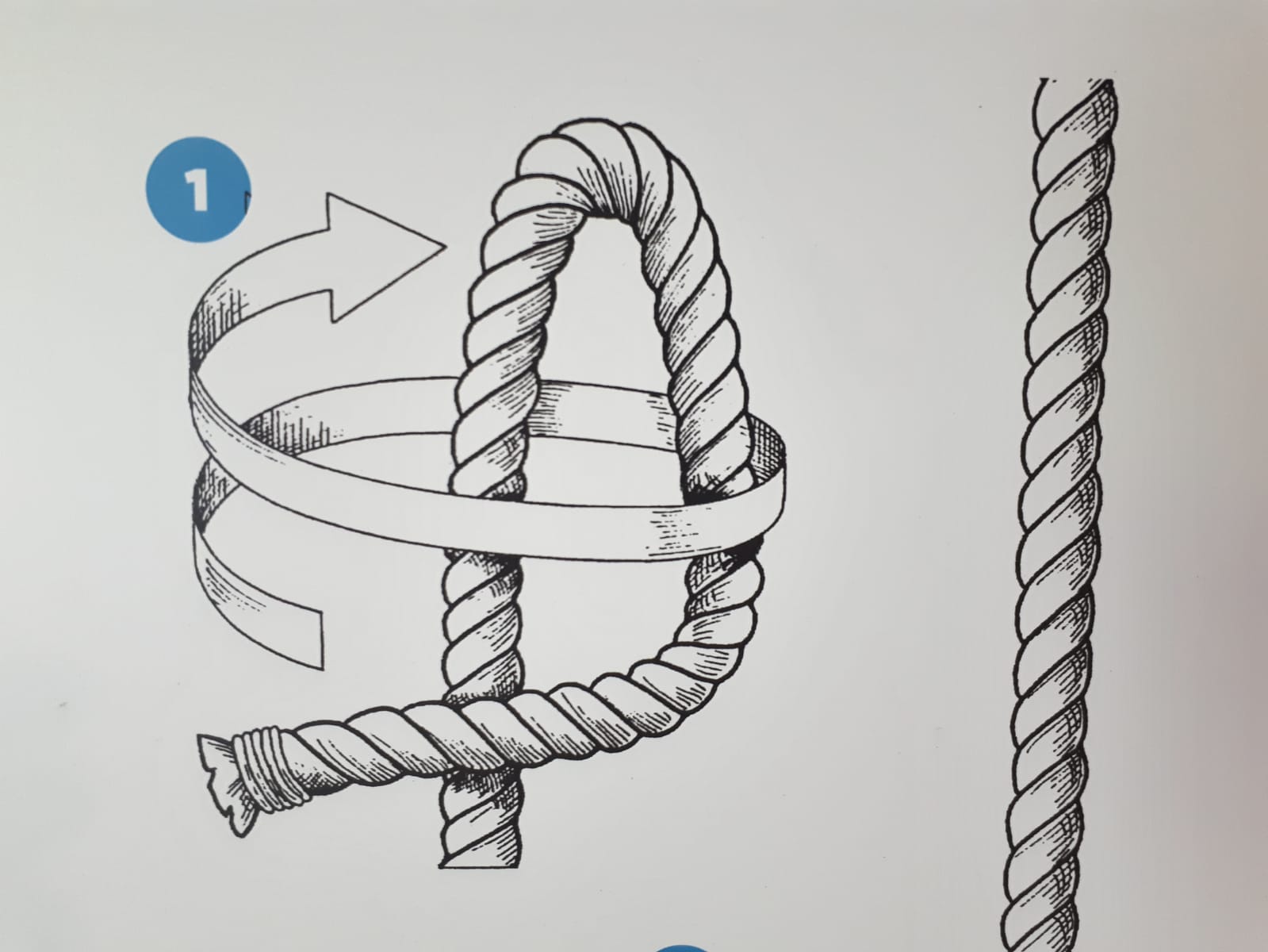 Nusos Mariners | © Museu de la Mediterrània