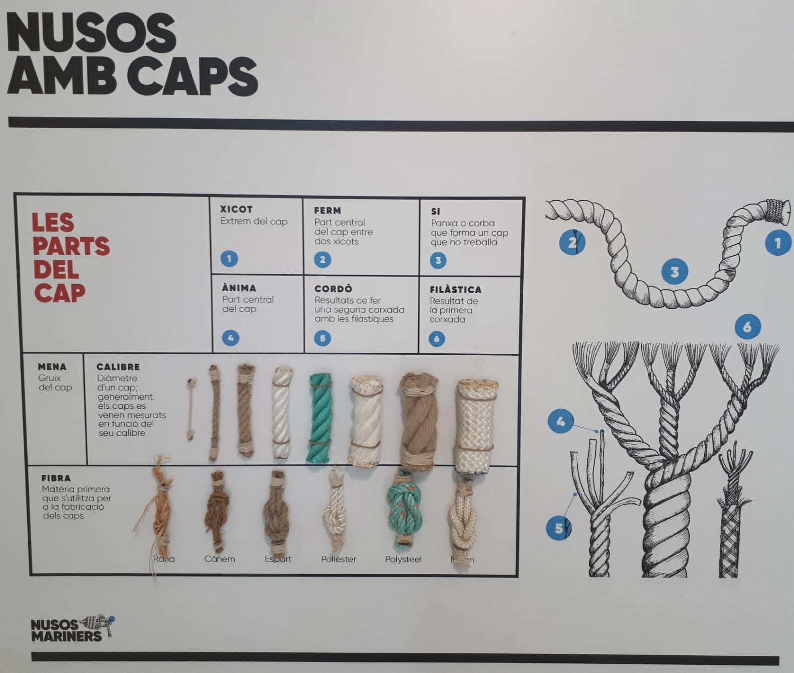 Nusos Mariners | © Museu de la Mediterrània