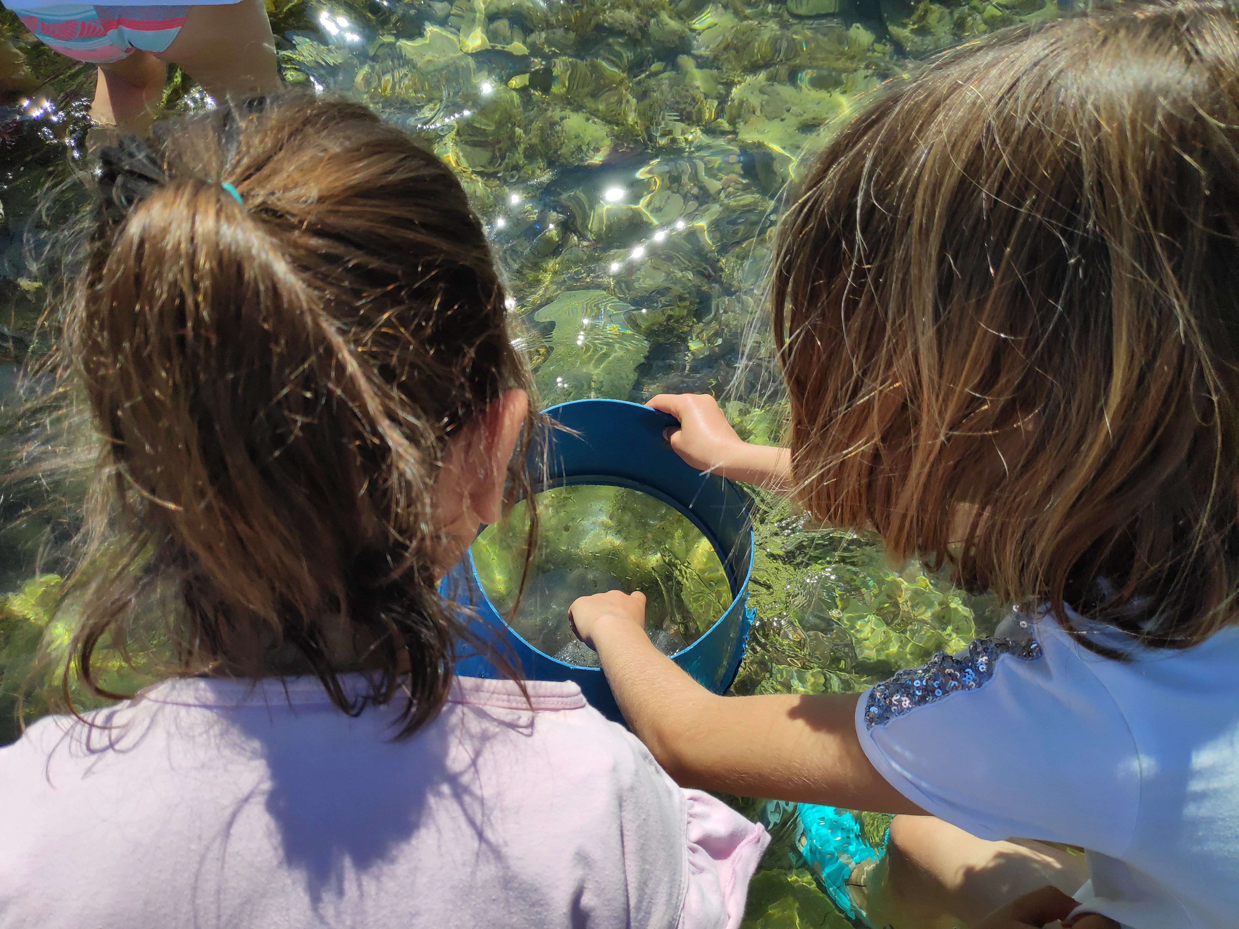 Arran de mar | © Museu de la Mediterrània