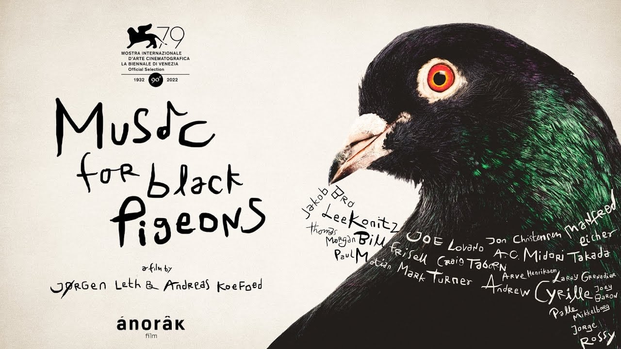 Music for black pigeons