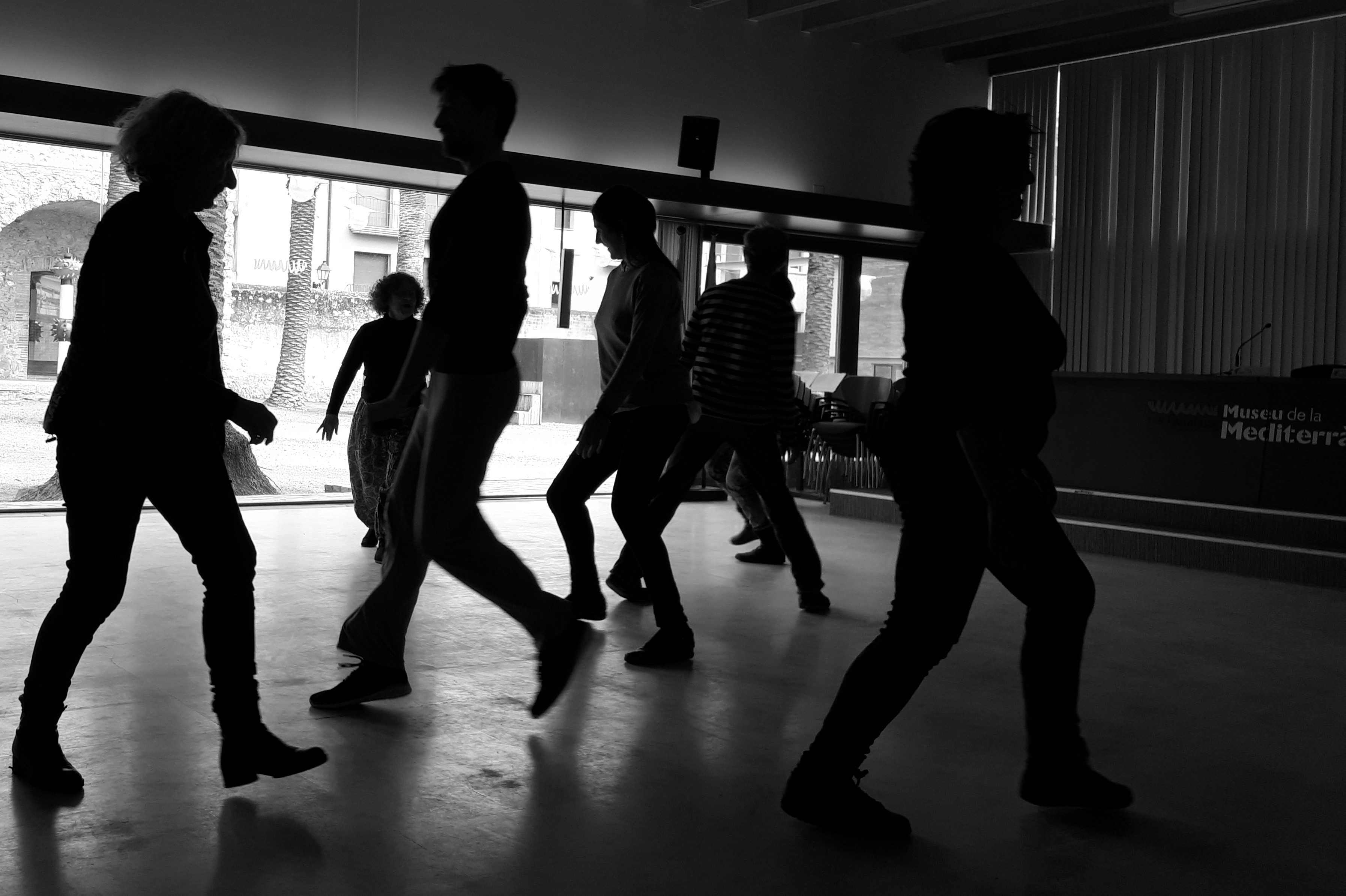 Dansa al Museu