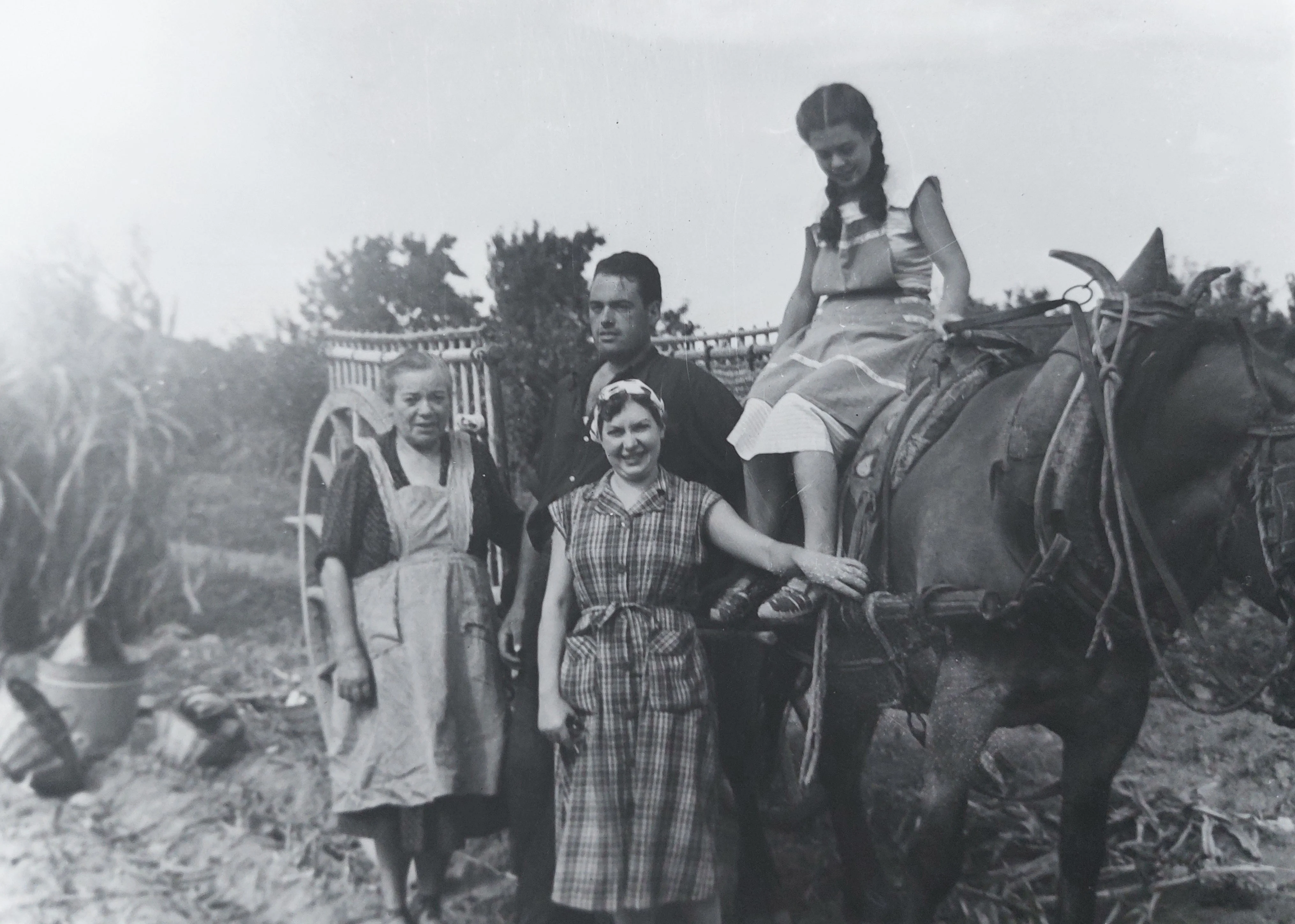 El cavall i la terra