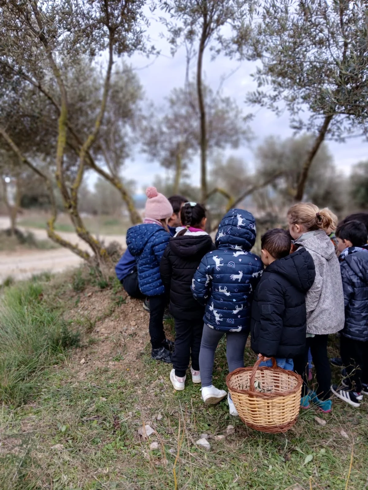 Aliança Guillem del Montgrí i Museu de la Mediterrània  | © Úrsula Olmos Casado