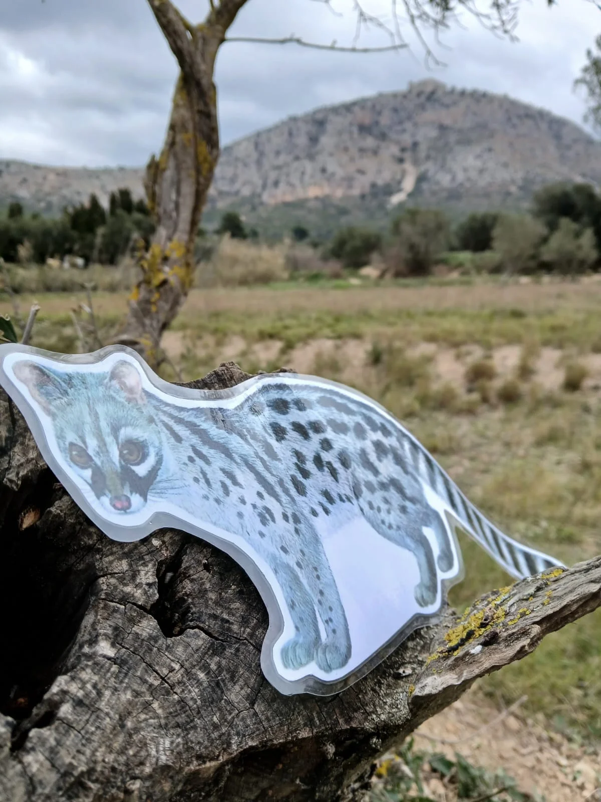 Aliança Guillem del Montgrí i Museu de la Mediterrània | © Úrsula Olmos Casado