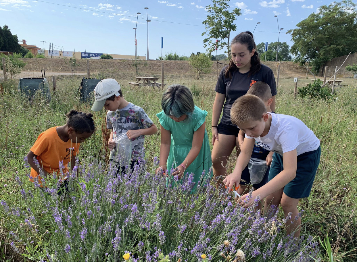 Activitats del Casal d'Activa't | © Activa't Torroella de Montgrí