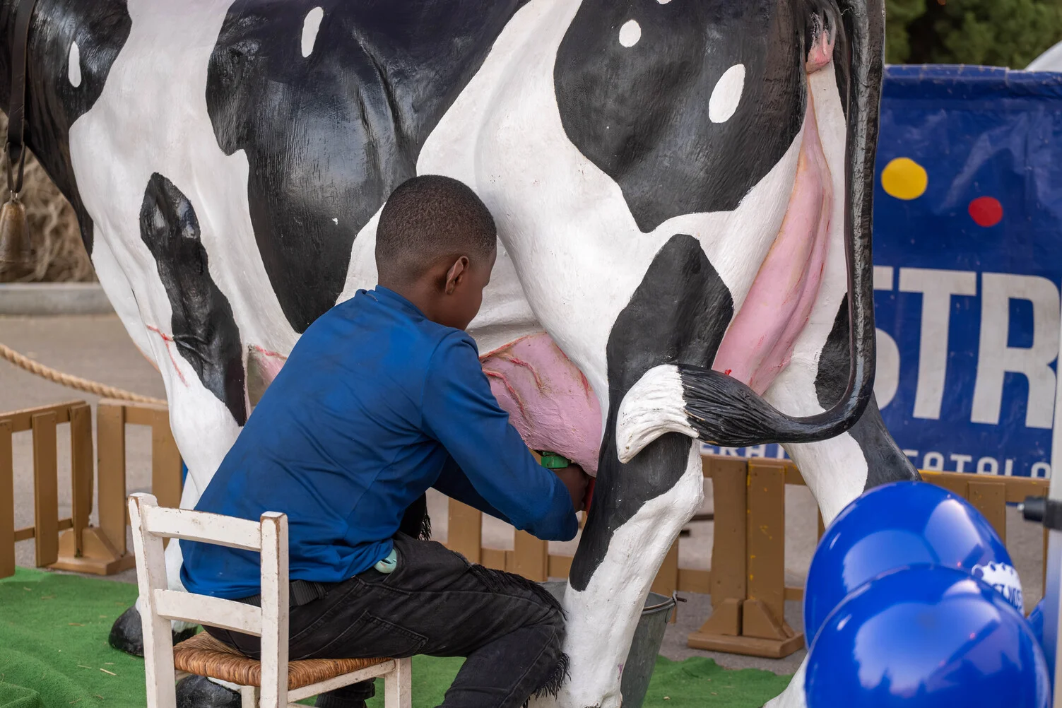 Activitats familiars | © Alèxia Camó / Ajuntament de Torroella de Montgrí