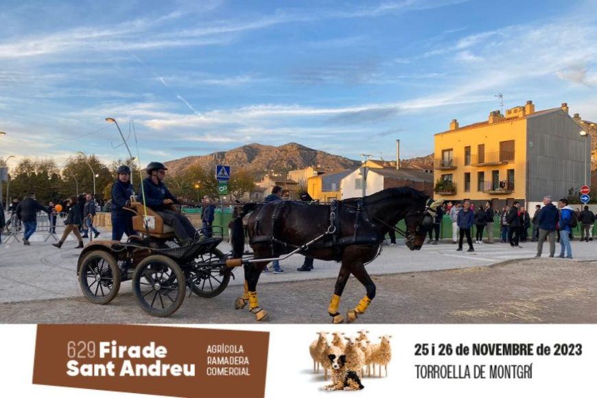 Un cavall estira un carruatge a la zona eqüestre de la Fira de Sant Andreu Un cavall estira un carruatge a la zona eqüestre de la Fira de Sant Andreu