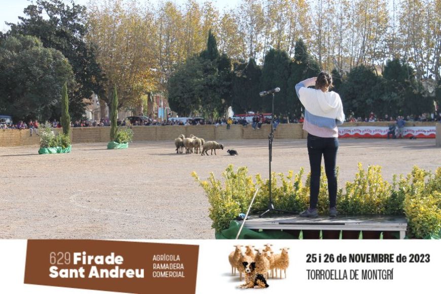 Una pastora comanda el seu gos en el Concurs de Gossos d'Atura de la Fira de Sant Andreu 2022 | © Ajuntament de Torroella de Montgrí Una pastora comanda el seu gos en el Concurs de Gossos d'Atura de la Fira de Sant Andreu 2022 | © Ajuntament de Torroella de Montgrí
