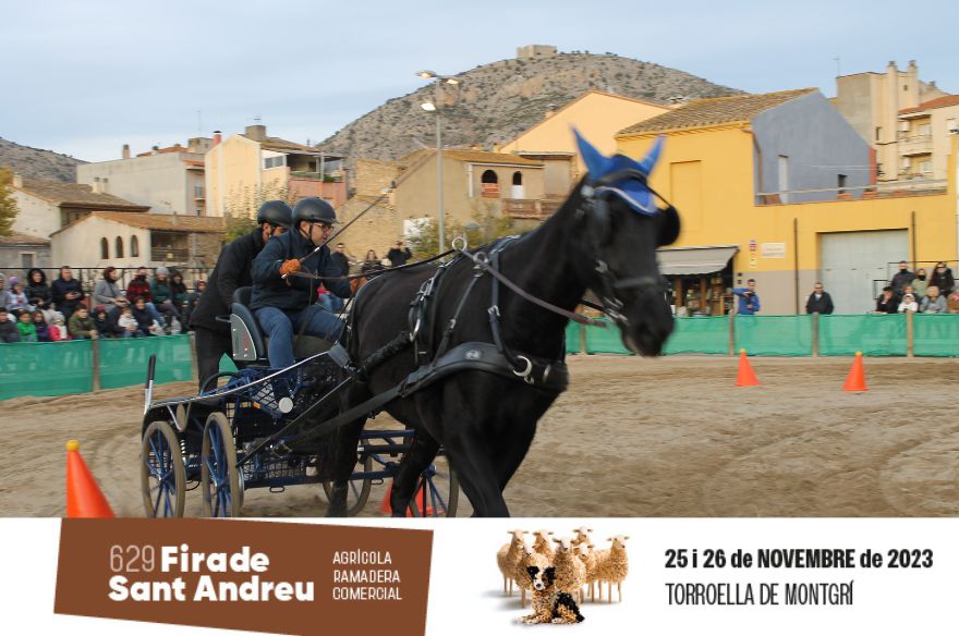 Demostració d'enganxaments de la Fira de Sant Andreu 2022