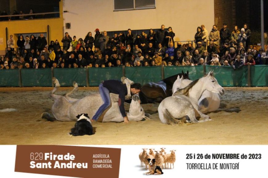 Santi Serra durant l'espectacle de doma de cavalls de la Fira de Sant Andreu 2022 | © Ajuntament de Torroella de Montgrí Santi Serra durant l'espectacle de doma de cavalls de la Fira de Sant Andreu 2022 | © Ajuntament de Torroella de Montgrí
