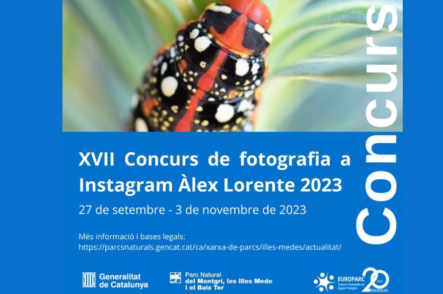 Concurs de Fotografia Àlex Lorente