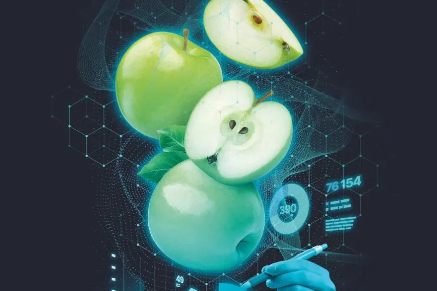 Pomatec Pomatec