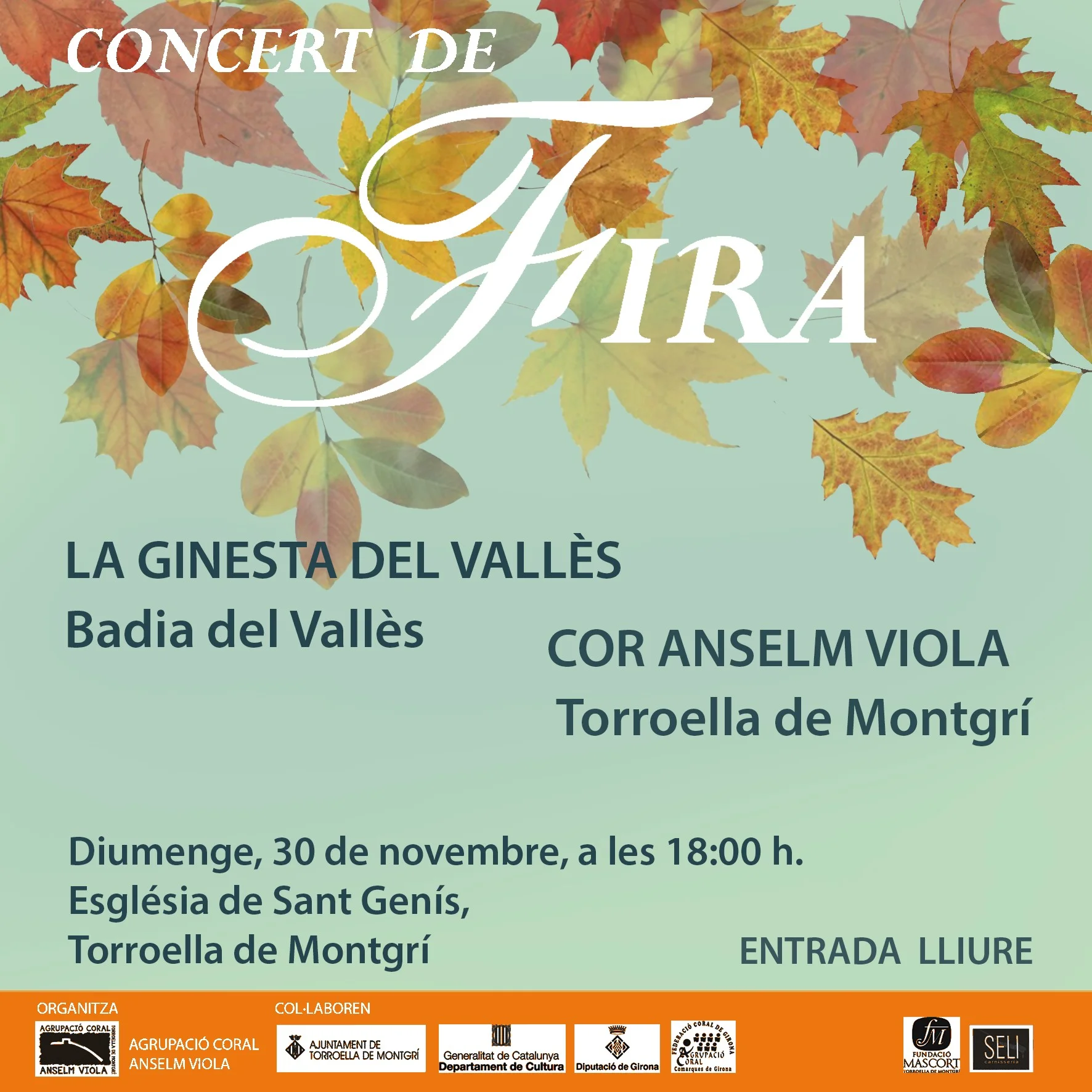 Concert de Fira