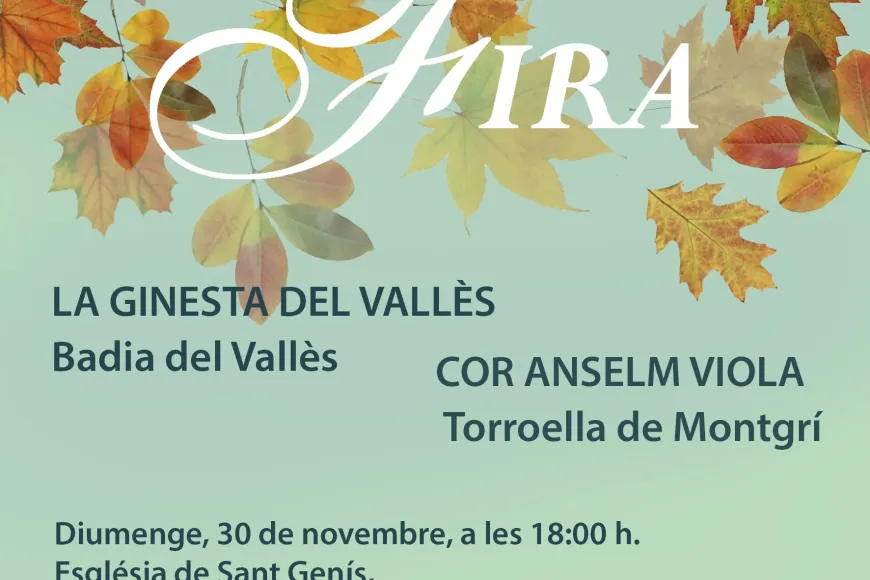 Concert de Fira Concert de Fira