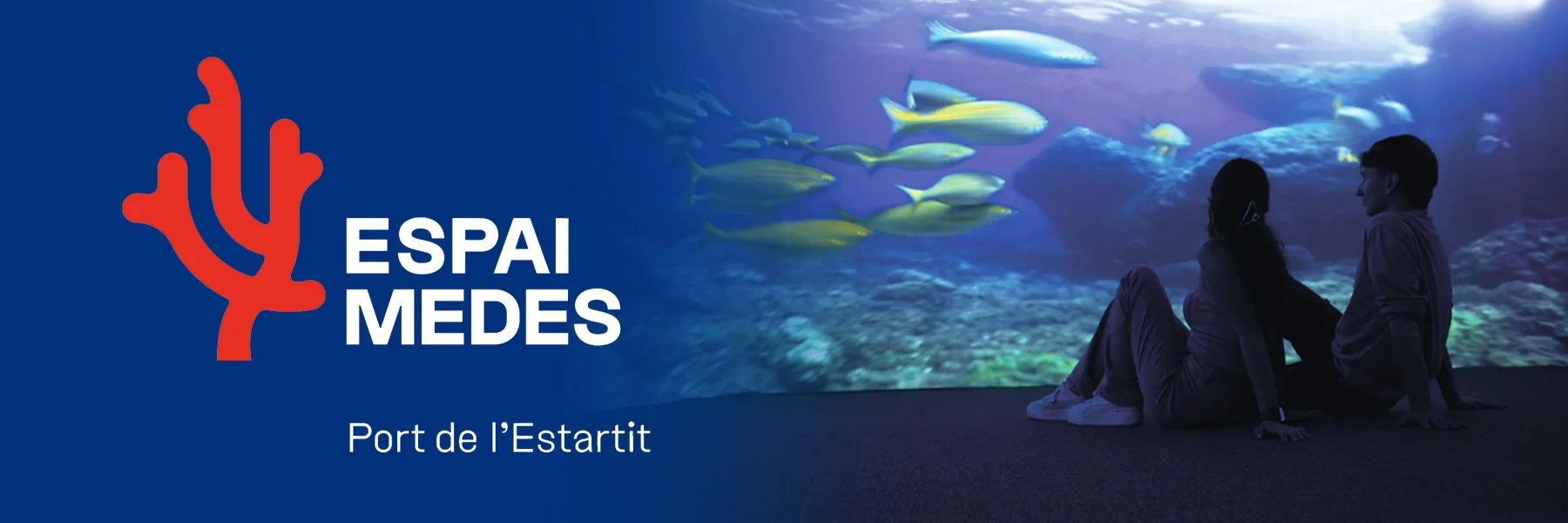 Espai Medes, Port de l'Estartit