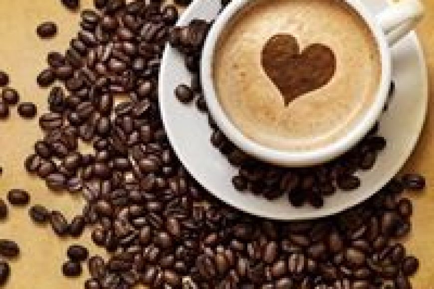 El Cafè de la Plaça El Cafè de la Plaça