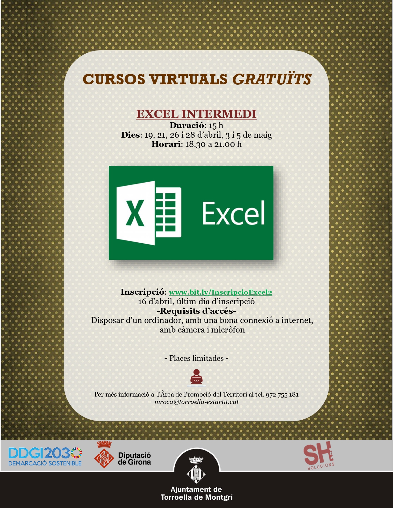 Cartell curs Excel nivell mitjà