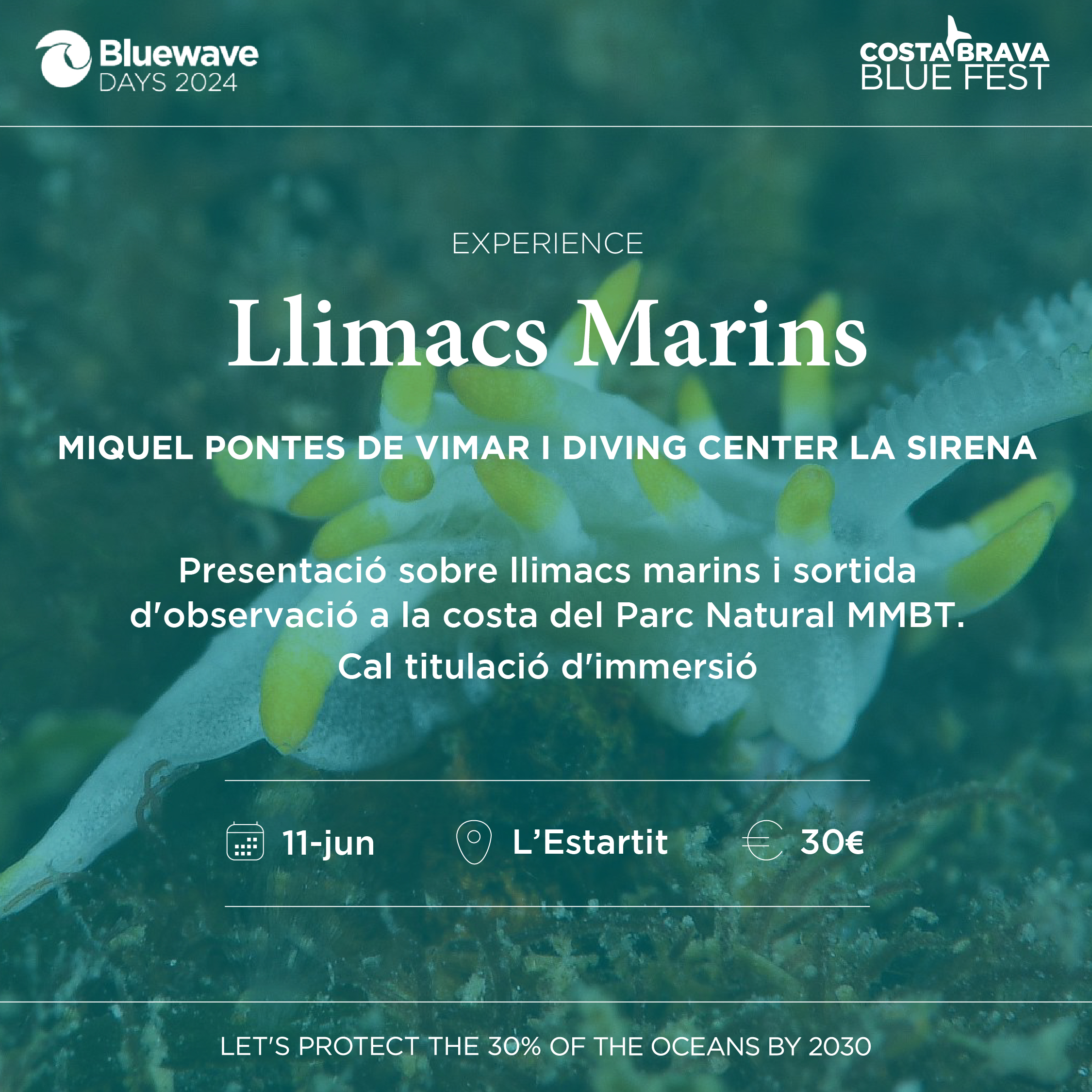 Conferència Llimacs Marins