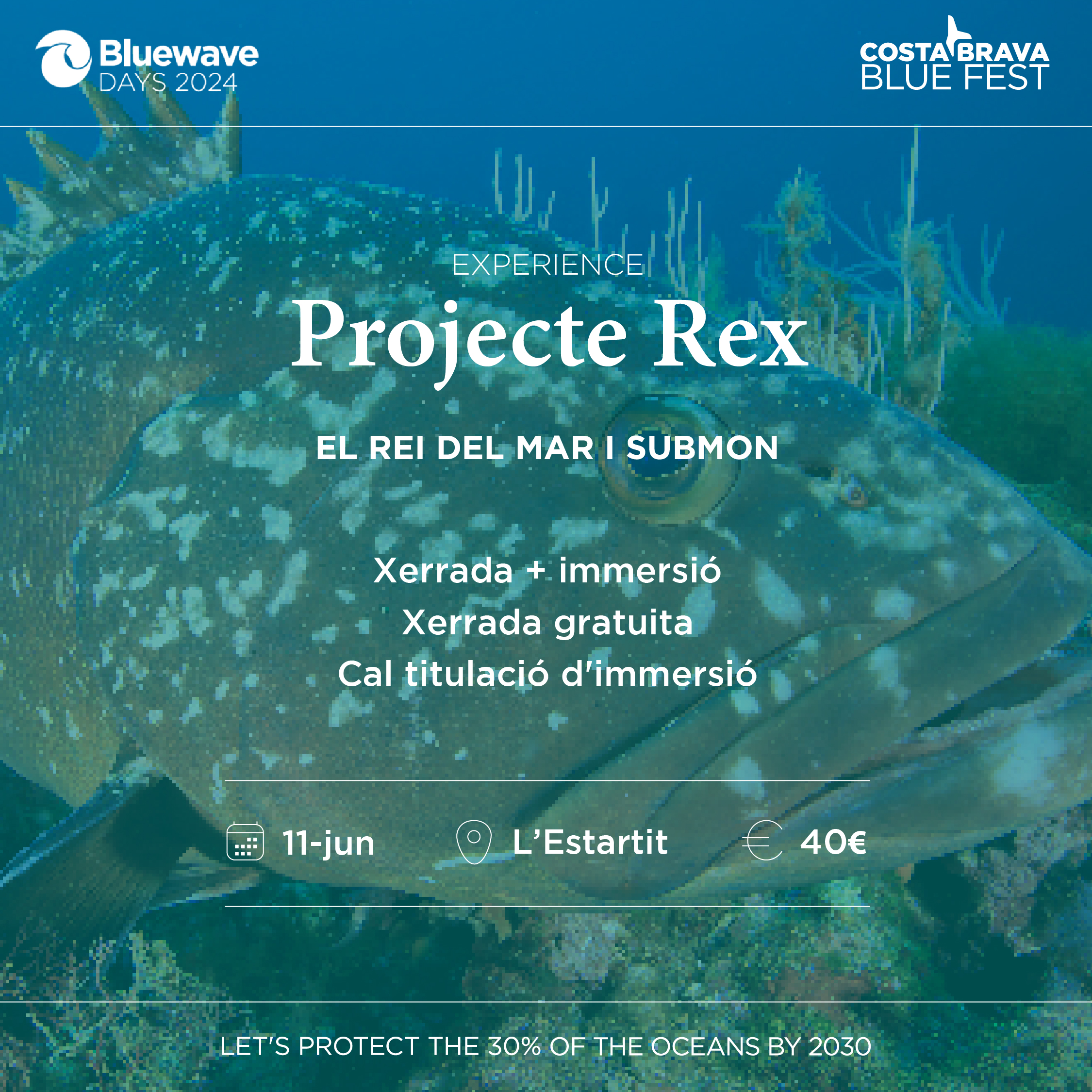 Projecte Rex