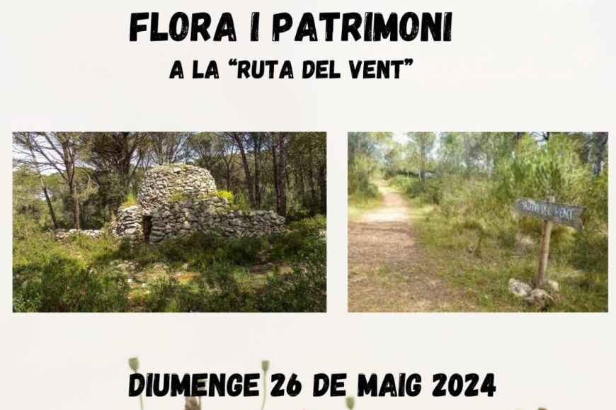 Ruta del vent Ruta del vent