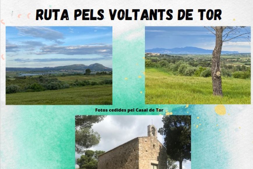 Cartell excursió a Tor i Sant Grau d'Albons | © Gent del Ter