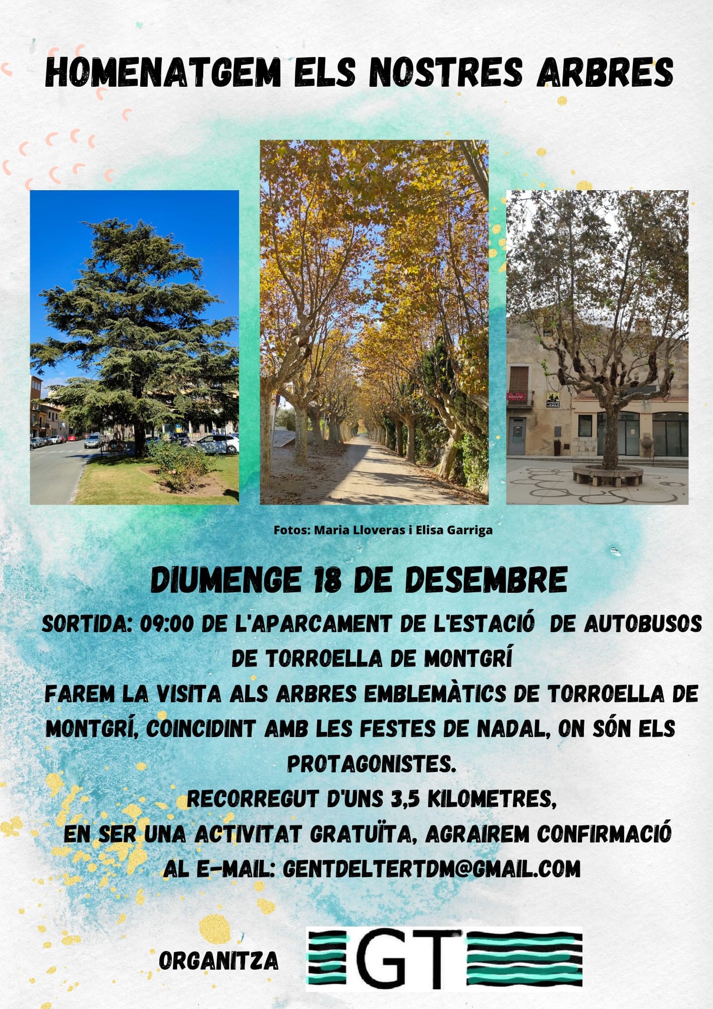 Cartell homenatgem els nostres arbres