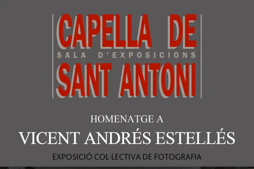 Homenatge a Vicent Andrés Estellés - Col·lectiva fotografia Homenatge a Vicent Andrés Estellés - Col·lectiva fotografia