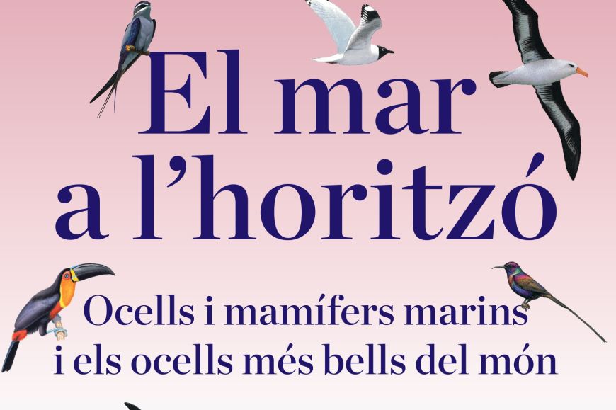 Mamífers Mamífers