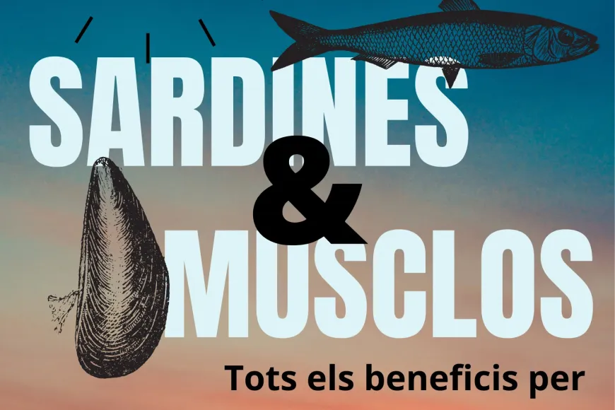 Vespre de tapes solidàries Sardines & Musclos 2025 Vespre de tapes solidàries Sardines & Musclos 2025