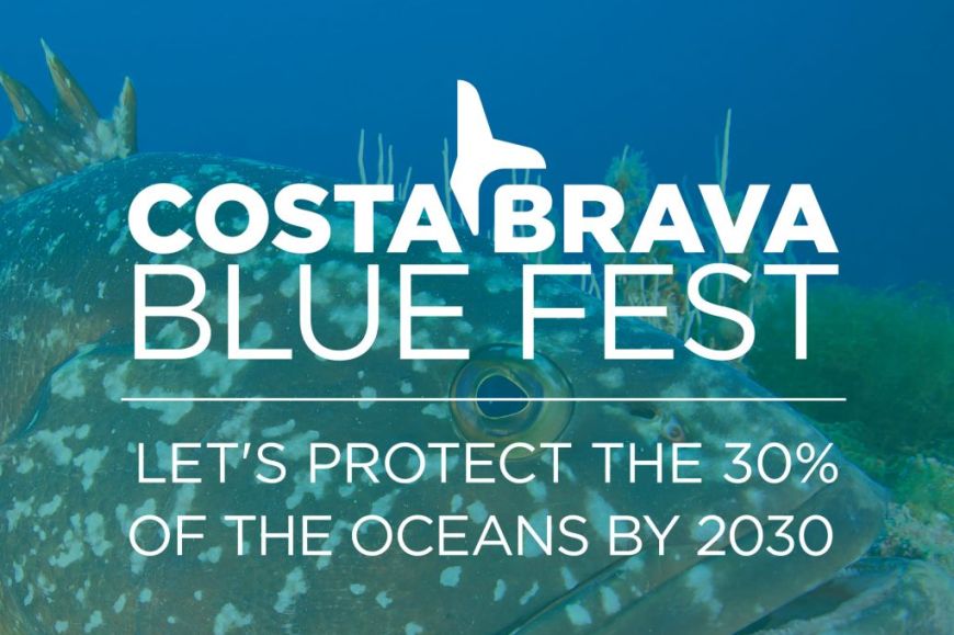 CB Blue Fest CB Blue Fest