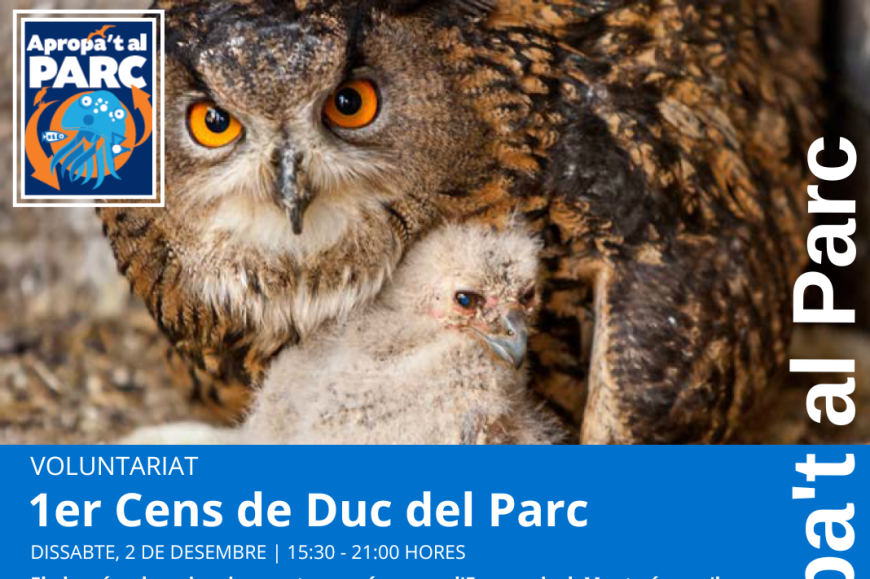 Cens del duc Cens del duc
